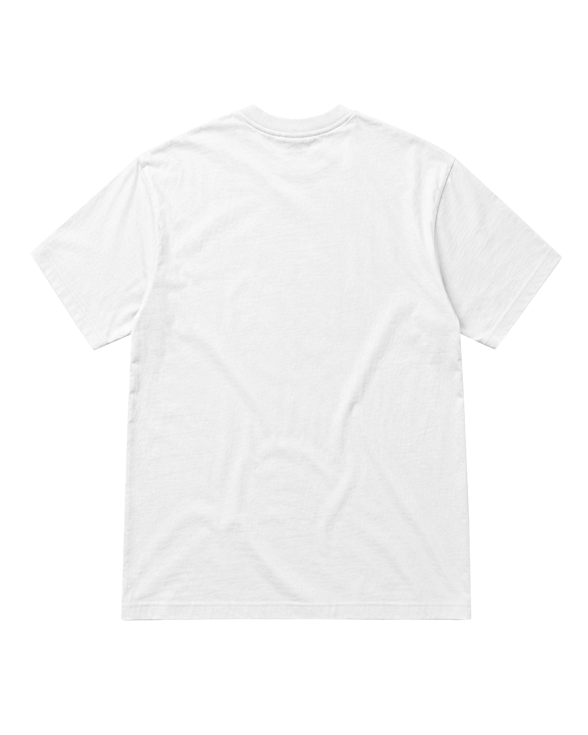 Sussex MMA Committee Tee